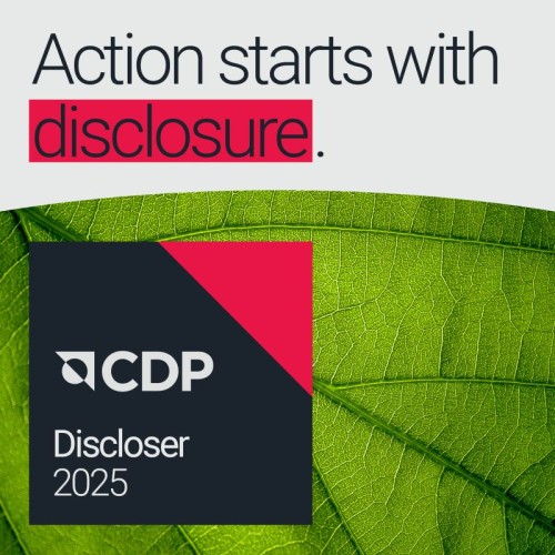 cdp disclosure gerdmans